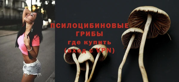 круглые Переславль-Залесский