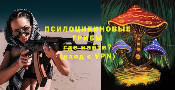 прущие грибы Покачи