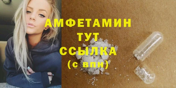 СК Пересвет