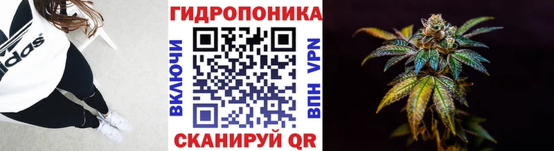 маркетплейс формула  Иннополис  Бошки Шишки THC 21% 